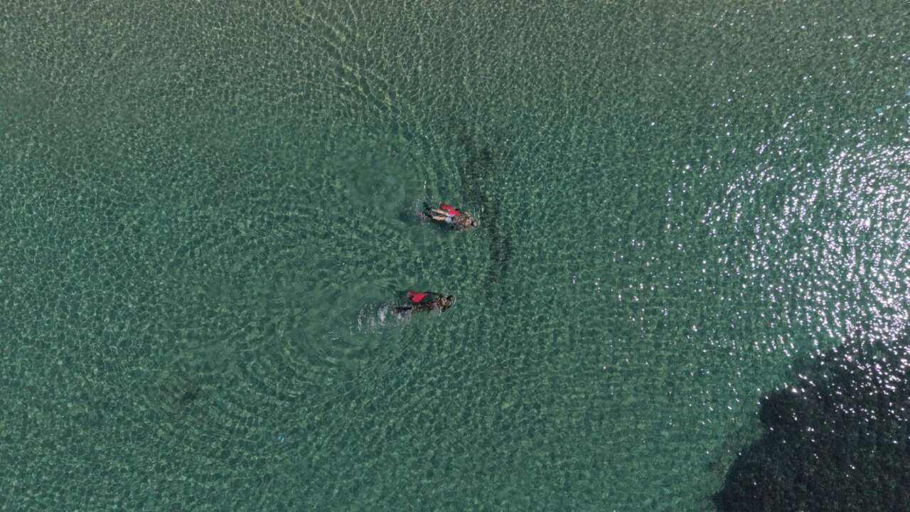 Bodrum Yaz Sezonuna Hazırlanıyor: Deniz Dibi Temizliği Kumbahçe’de Başladı 1